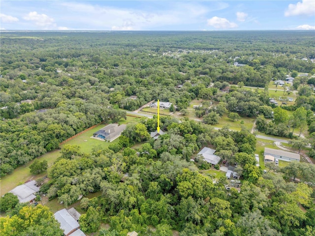 32125 Okaloosa Trl, Sorrento, FL 32776 - photo 36