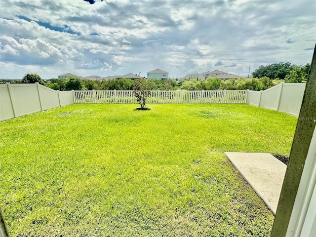9937 Aqua Miles Path, Wesley Chapel, FL 33545 - view of fenced backyard