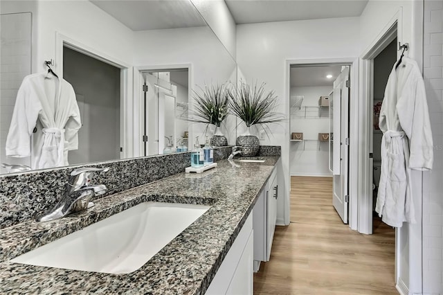 9937 Aqua Miles Path, Wesley Chapel, FL 33545 - full bathroom featuring wood finished floors, double vanity, and a walk in closet