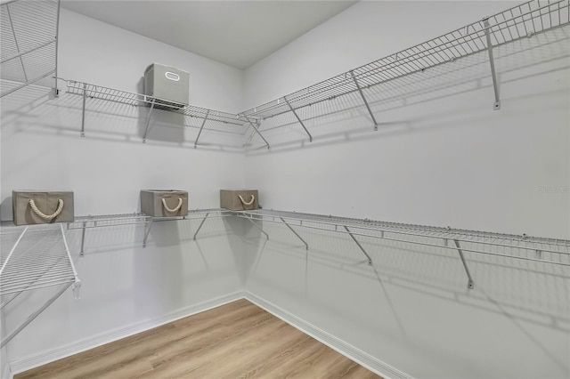 9937 Aqua Miles Path, Wesley Chapel, FL 33545 - spacious closet featuring light wood-style flooring