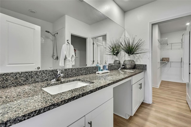 9937 Aqua Miles Path, Wesley Chapel, FL 33545 - bathroom with double vanity, wood finished floors, a shower, and a walk in closet