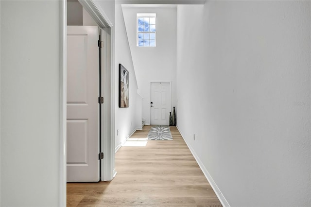 9937 Aqua Miles Path, Wesley Chapel, FL 33545 - hall with baseboards and light wood-style floors