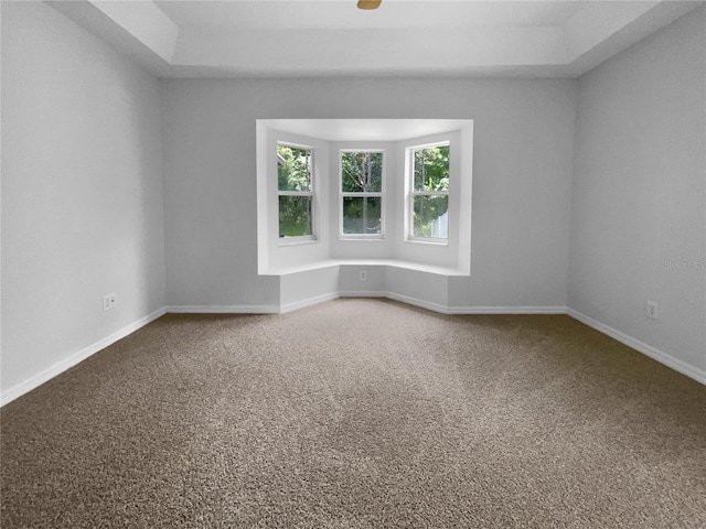 16006 Stags Leap Dr, Lutz, FL 33559 - empty room featuring carpet floors