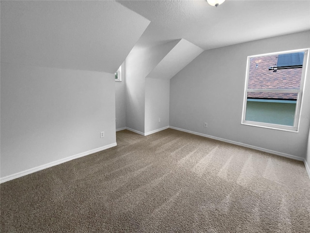 16006 Stags Leap Dr, Lutz, FL 33559 - additional living space with vaulted ceiling and carpet floors