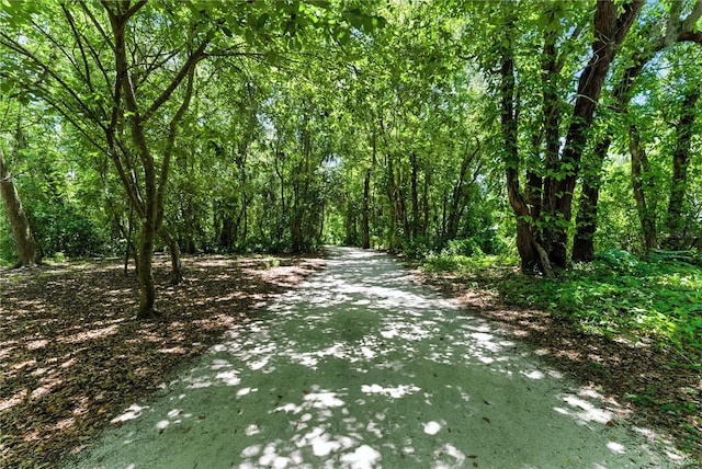 2350 Derbyshire Rd, Maitland, FL 32751 - photo 38