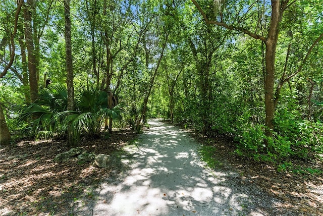 2350 Derbyshire Rd, Maitland, FL 32751 - photo 39