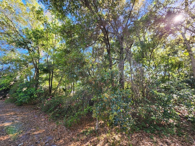 N Triplet Lake Dr, Casselberry, FL 32707 - photo 2