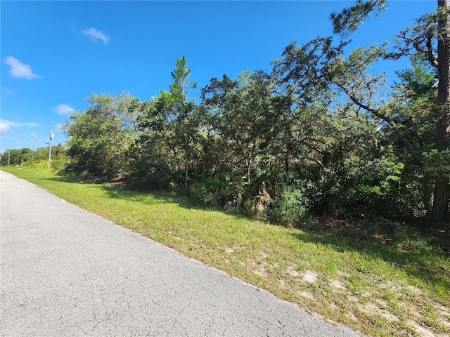 LOT9 E Thyme Ave, Eustis, FL 32736 - photo 2