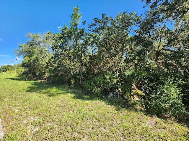 LOT9 E Thyme Ave, Eustis, FL 32736 - photo 3