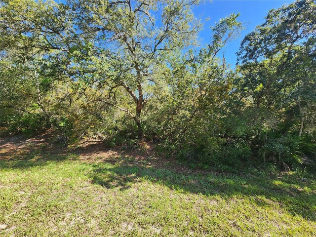 LOT9 E Thyme Ave, Eustis, FL 32736 - photo 4