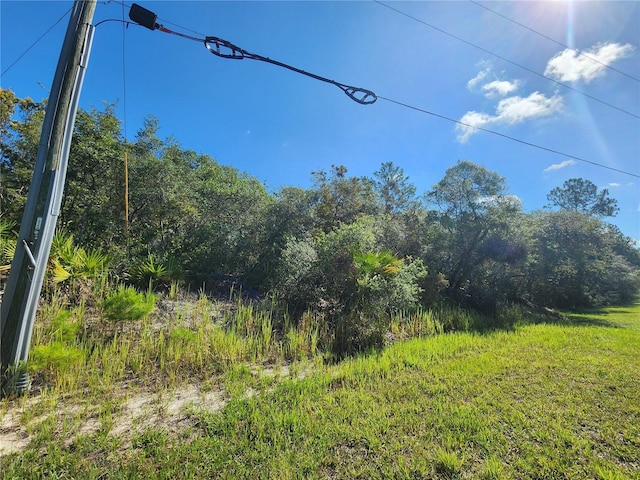 LOT9 E Thyme Ave, Eustis, FL 32736 - photo 5