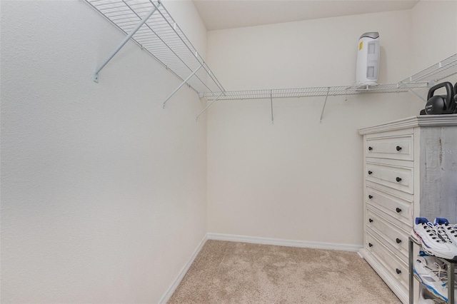 1010 Morvan Ln, Kissimmee, FL 34759 - walk in closet with light carpet
