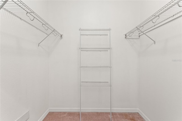 519 Cadiz Dr, Davenport, FL 33837 - spacious closet featuring carpet