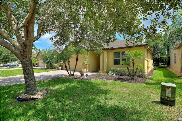 519 Cadiz Dr, Davenport, FL 33837 - view of property hidden behind natural elements featuring driveway, a garage, a front lawn, and stucco siding