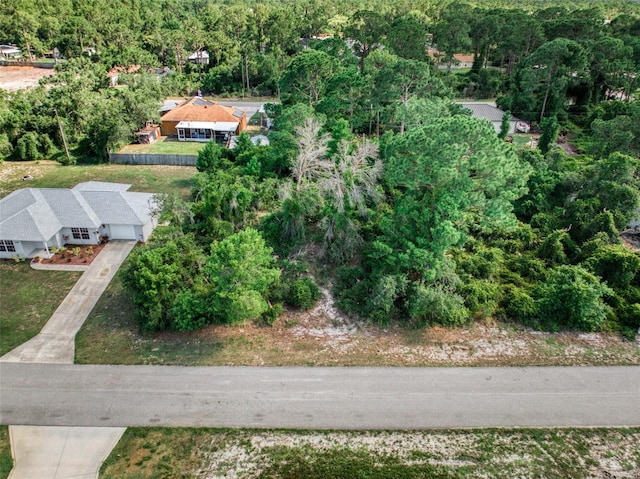 3913 Dauphine St, Sebring, FL 33872