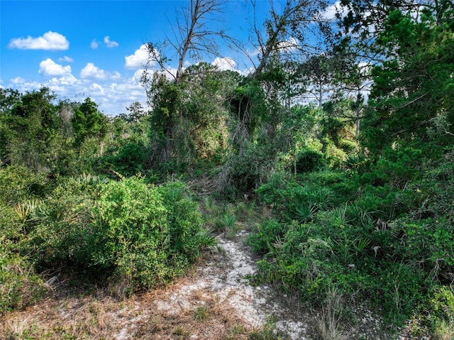 3913 Dauphine St, Sebring, FL 33872
