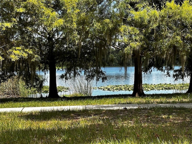 5057 Maui Cir Unit 15, Orlando, FL 32808 - water view