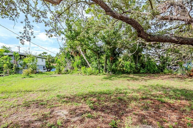 3810 18th Ave S, Saint Petersburg, FL 33711 - photo 29