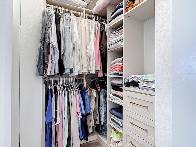 60 Surfview Dr Unit 308, Palm Coast, FL 32137 - walk in closet with wood finished floors