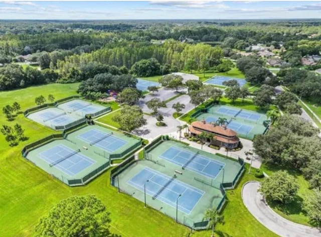 17032 Winners Cir, Odessa, FL 33556 - aerial view of a heavily wooded area