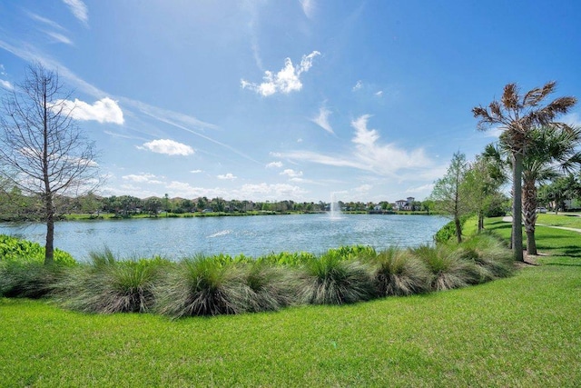 8901 Rhodes St, Kissimmee, FL 34747 - water view