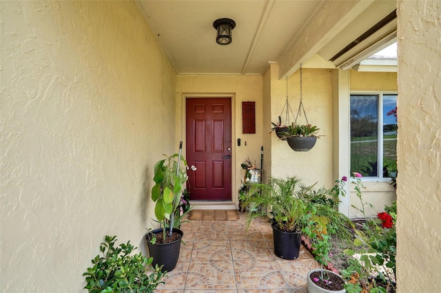 1165 Indian Ridge Trl E, Kissimmee, FL 34747 - entrance to property featuring stucco siding