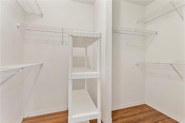 1825 Shadow View Cir Unit 1825, Maitland, FL 32751 - spacious closet with wood finished floors
