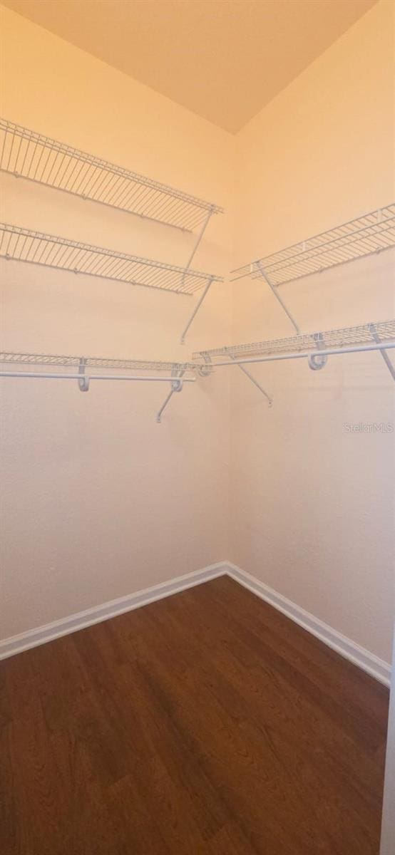 13584 Turtle Marsh Loop Unit 12, Orlando, FL 32837 - walk in closet featuring dark wood-style floors