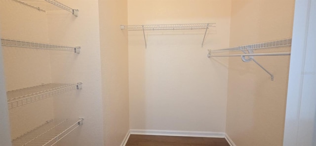 13584 Turtle Marsh Loop Unit 12, Orlando, FL 32837 - walk in closet with wood finished floors