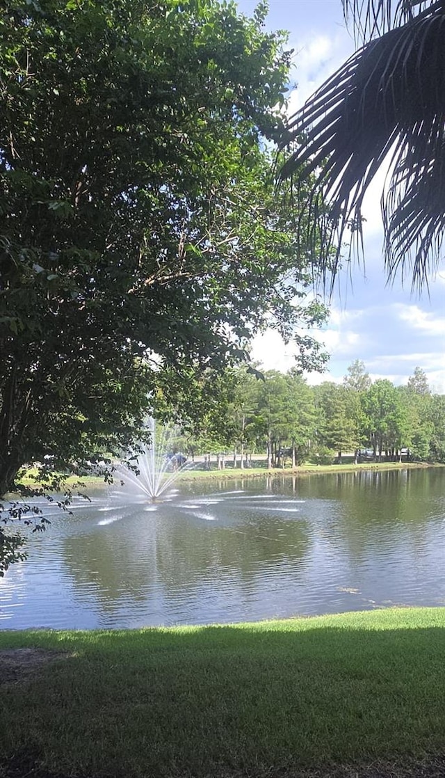 13584 Turtle Marsh Loop Unit 12, Orlando, FL 32837 - water view