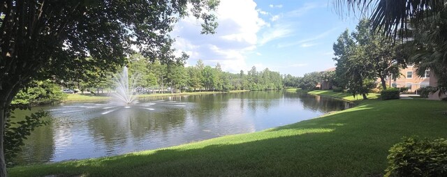 13584 Turtle Marsh Loop Unit 12, Orlando, FL 32837 - water view