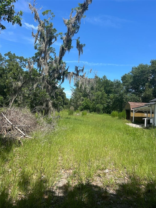 1059 S Moody Rd, Palatka, FL 32177 - photo 12