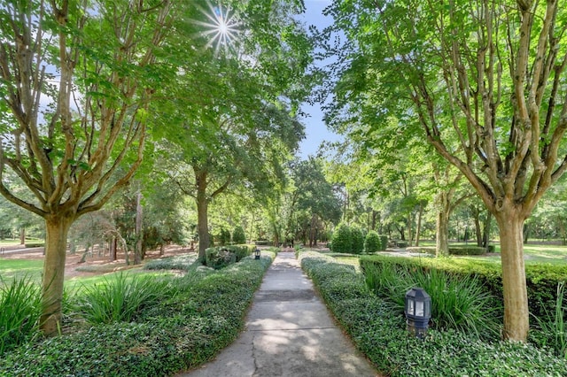 25554 Hawks Run Ln, Sorrento, FL 32776 - view of property's community