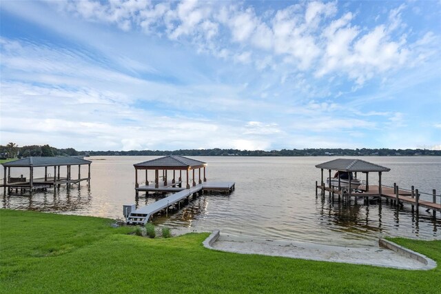 2937 Butler Bay Dr N, Windermere, FL 34786 - photo 96