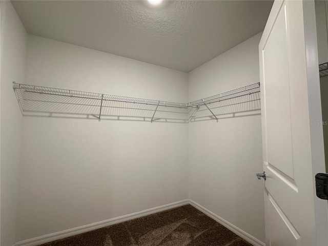 1950 Birnham Wood Bnd, Kissimmee, FL 34746 - spacious closet featuring dark carpet