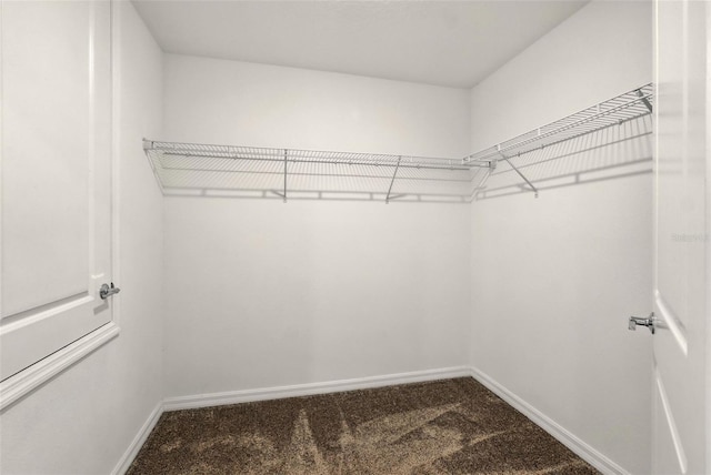 1950 Birnham Wood Bnd, Kissimmee, FL 34746 - photo 21