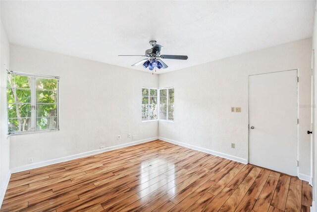 311 Cortland Ave, Winter Park, FL 32789 - photo 19