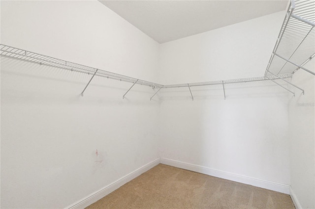3906 Carrick Bend Dr, Kissimmee, FL 34746 - photo 23