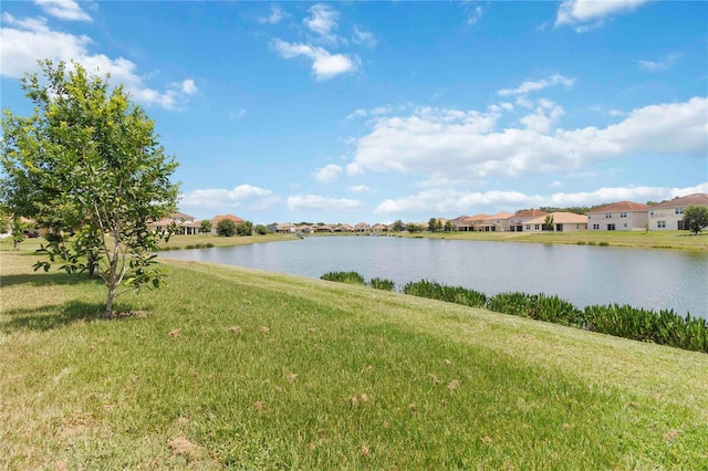 3906 Carrick Bend Dr, Kissimmee, FL 34746 - photo 40