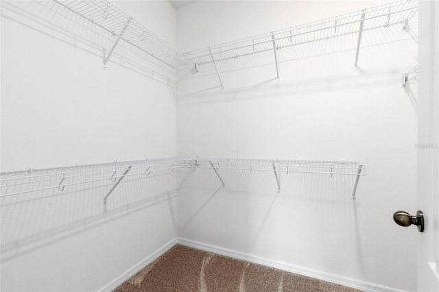 12216 Encore At Ovation Way, Winter Garden, FL 34787 - spacious closet with carpet floors