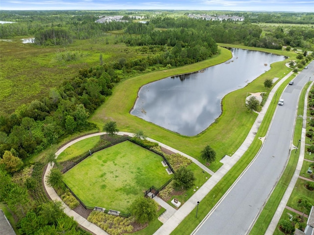 12216 Encore At Ovation Way, Winter Garden, FL 34787 - bird's eye view of a nearby body of water and a heavily wooded area