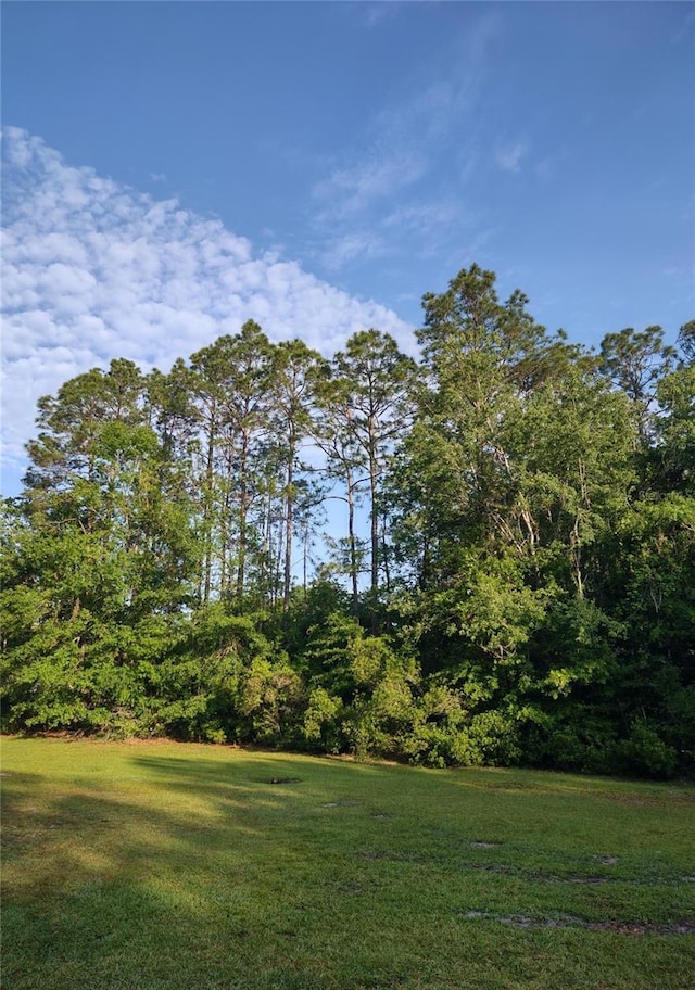 342 NE Ethan Pl, Lake City, FL 32055 - photo 10