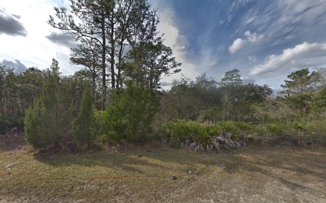 19025 Ramsey Rd, Weeki Wachee, FL 34614 - photo 6