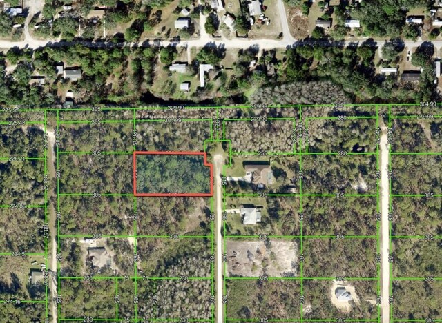 19025 Ramsey Rd, Weeki Wachee, FL 34614 - photo 7