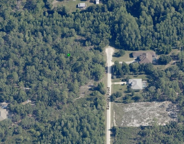 19025 Ramsey Rd, Weeki Wachee, FL 34614 - photo 9