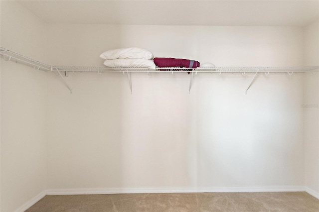 148 Miro Dr, Davenport, FL 33837 - walk in closet with light colored carpet