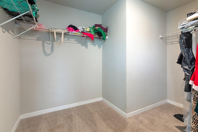 1024 Desert Candle Dr, Ocoee, FL 34761 - spacious closet with carpet