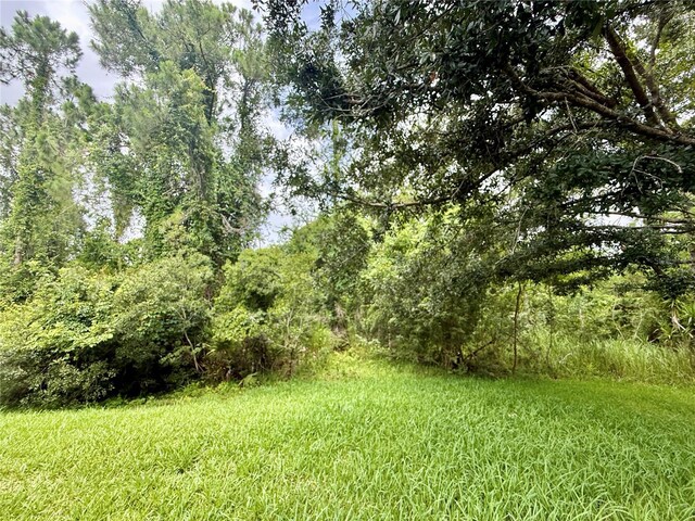 14700 Chadbury Ct, Orlando, FL 32828 - photo 52