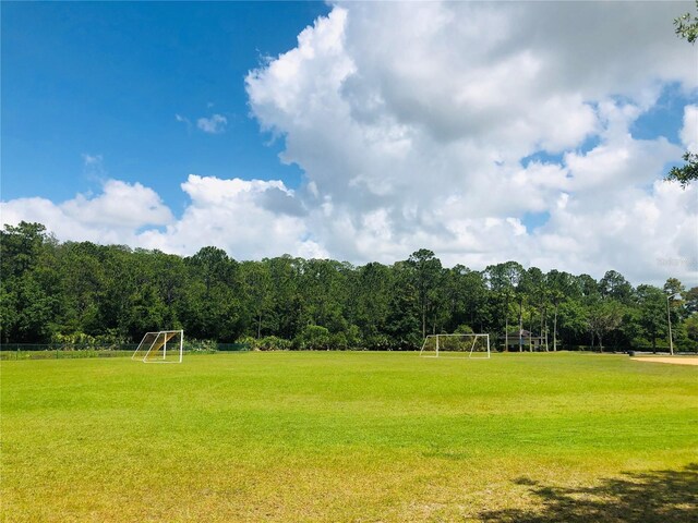 14700 Chadbury Ct, Orlando, FL 32828 - photo 63