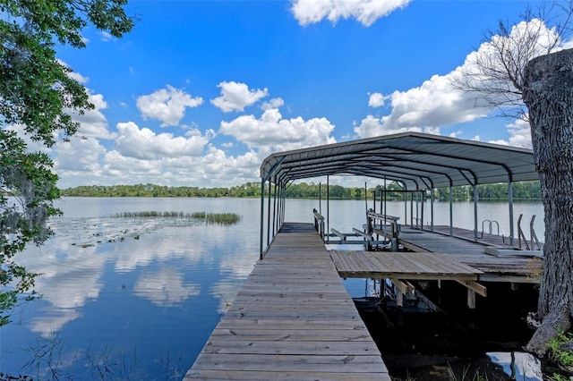 6790 Bay Shore Dr, Saint Cloud, FL 34771 - photo 33
